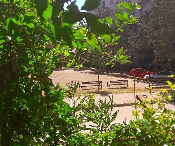 With Wifi - 15114 * ザダル